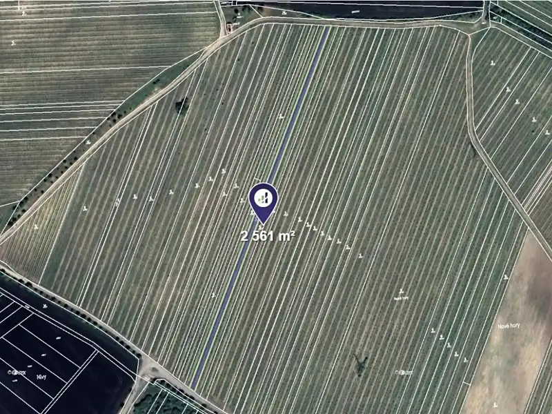 Prodej sadu, vinice 2561 m², Starovičky – náhled fotky 1