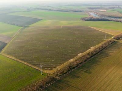 Prodej  sadu, vinice 243 931 m²