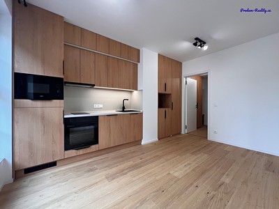 Pronájem bytu 1+kk 24 m² (Jednopodlažní)