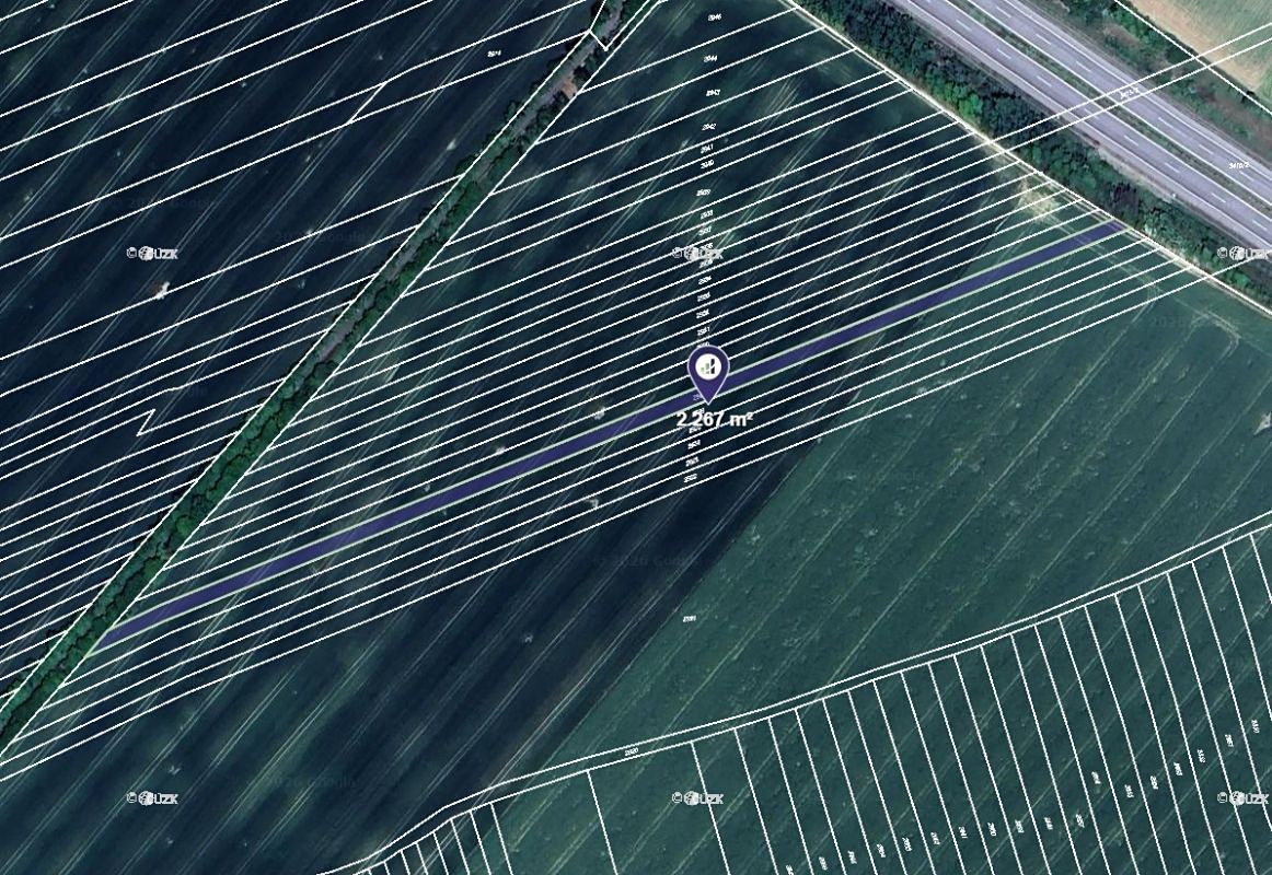 Prodej pole 3815 m²