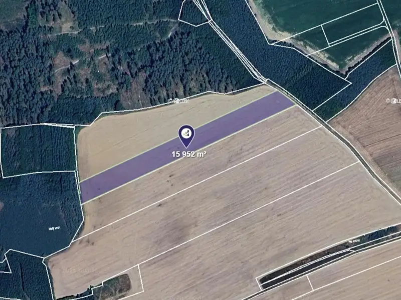 Prodej pole 15952 m², Břasy – náhled fotky 1