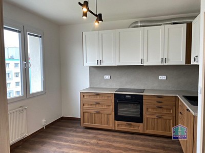 Pronájem bytu 1+1 39 m²