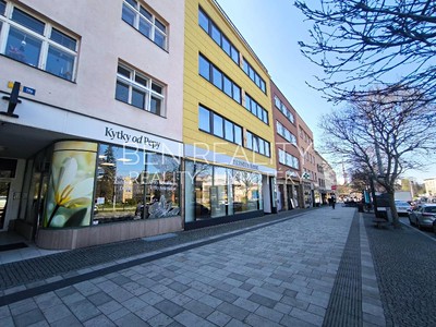 Pronájem obchodního prostoru 55 m²