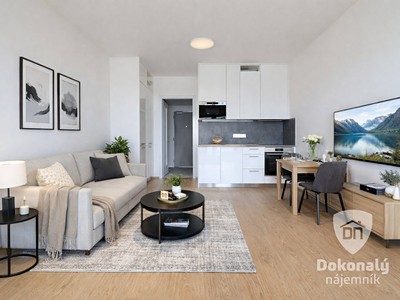 Pronájem bytu 1+kk 35 m²