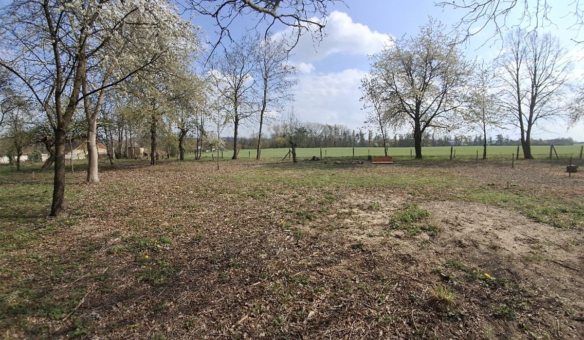 Prodej stavebního pozemku 2666 m² – fotografie 3
