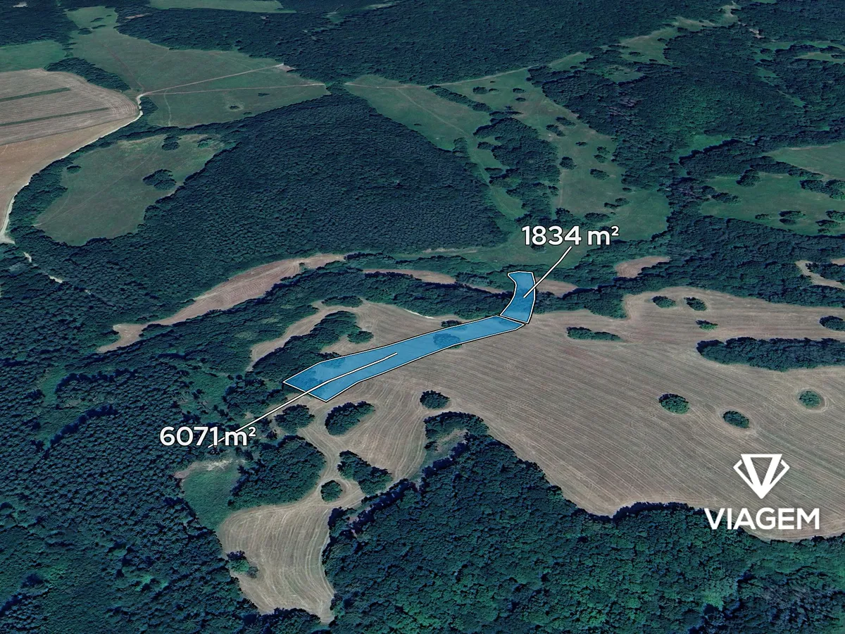 Prodej podílu 1/8 pole 988 m²