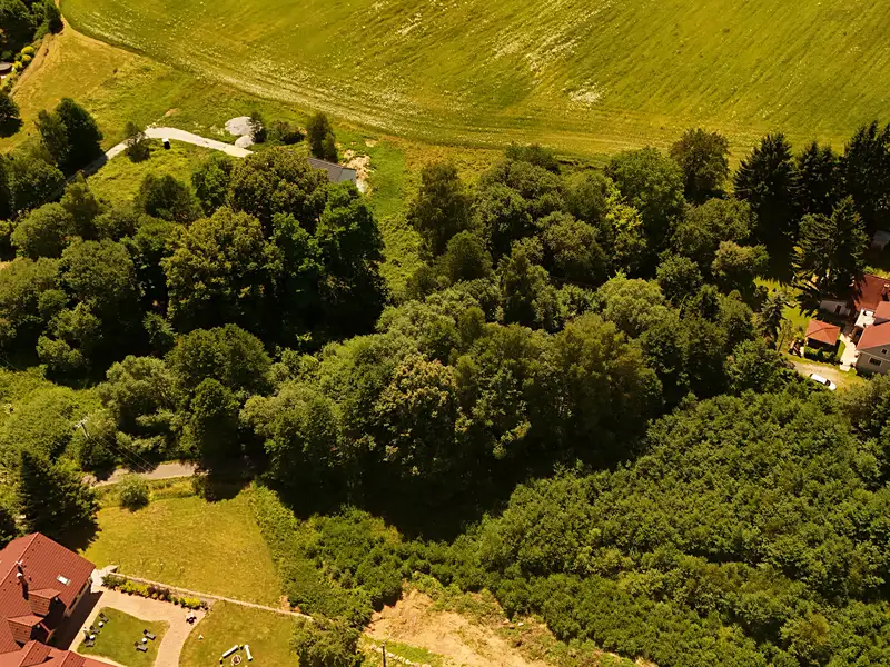 Prodej stavebního pozemku 4952 m², Horní Stropnice – náhled fotky 3