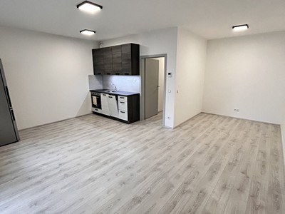 Pronájem bytu 1+kk 43 m²