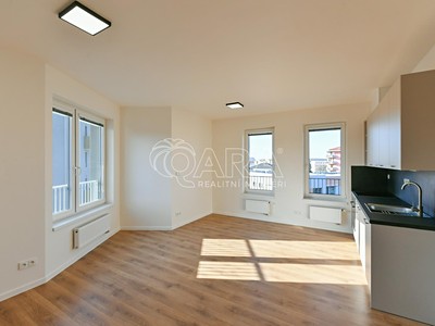 Pronájem bytu 1+kk 33 m² (Jednopodlažní)