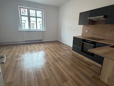Pronájem bytu 1+1 44 m²