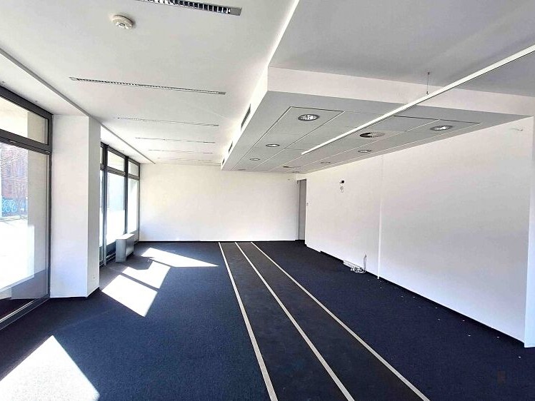 Pronájem komerčního prostoru, 125 m² (3 z 10)