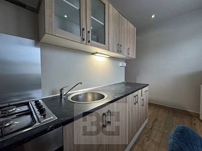Pronájem bytu 1+1 43 m² (Jednopodlažní)