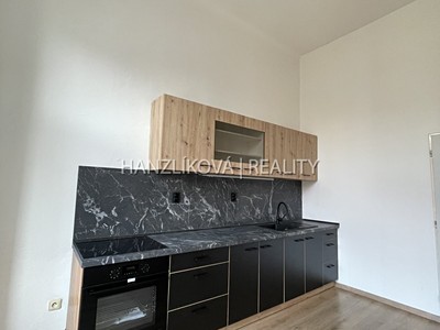 Pronájem bytu 1+1 49 m²