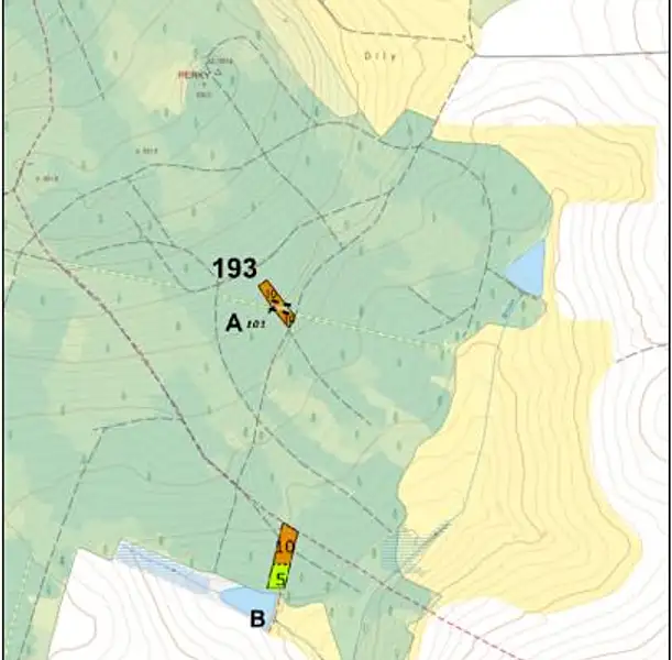 Prodej lesa 1295 m², Častrov – náhled fotky 2