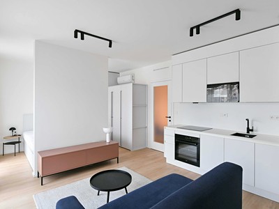 Pronájem bytu 1+kk 43 m²