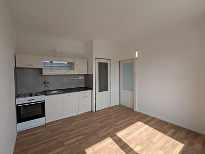 Pronájem bytu 1+1 35 m² (Jednopodlažní)