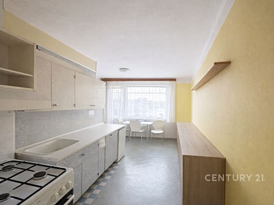 Prodej bytu 1+1 45 m²