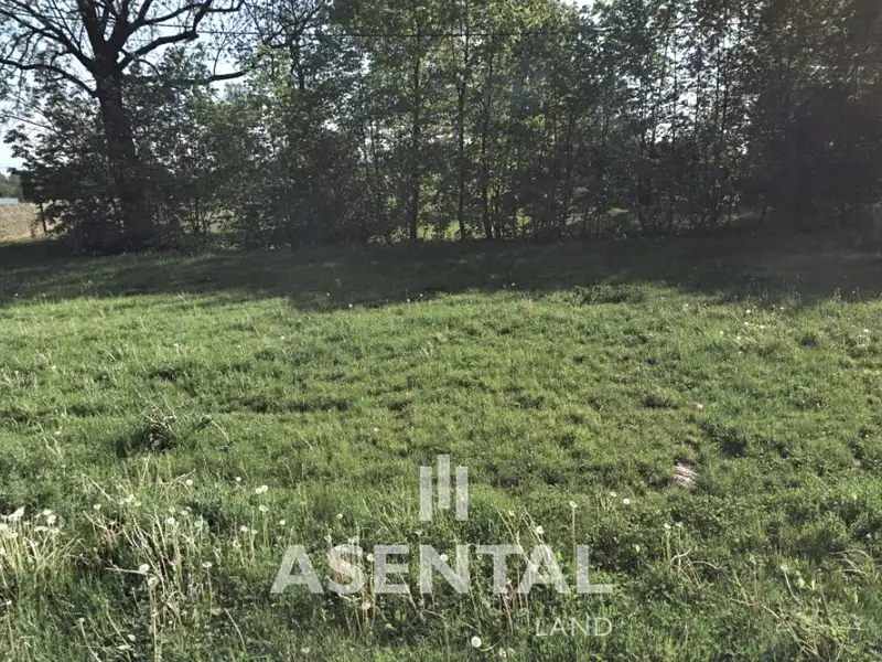 Prodej stavebního pozemku 12324 m², Orlová – náhled fotky 1