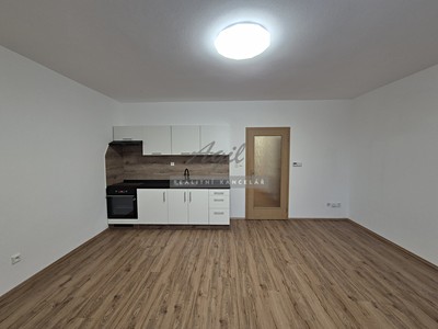 Pronájem bytu 2+kk 46 m²