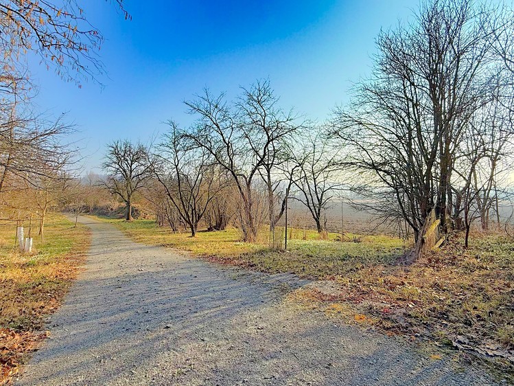 Prodej pozemku, 8 684 m² (3 z 16)