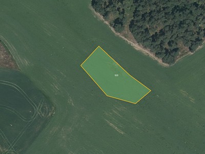 Prodej  pole 22 168 m² — photo 4