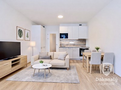 Pronájem bytu 1+kk 30 m²