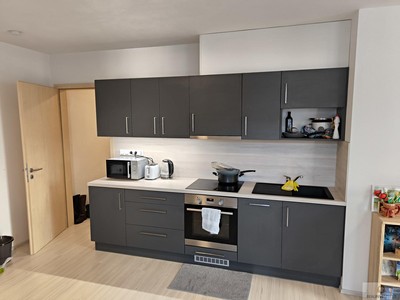 Pronájem bytu 2+kk 51 m² (Jednopodlažní)