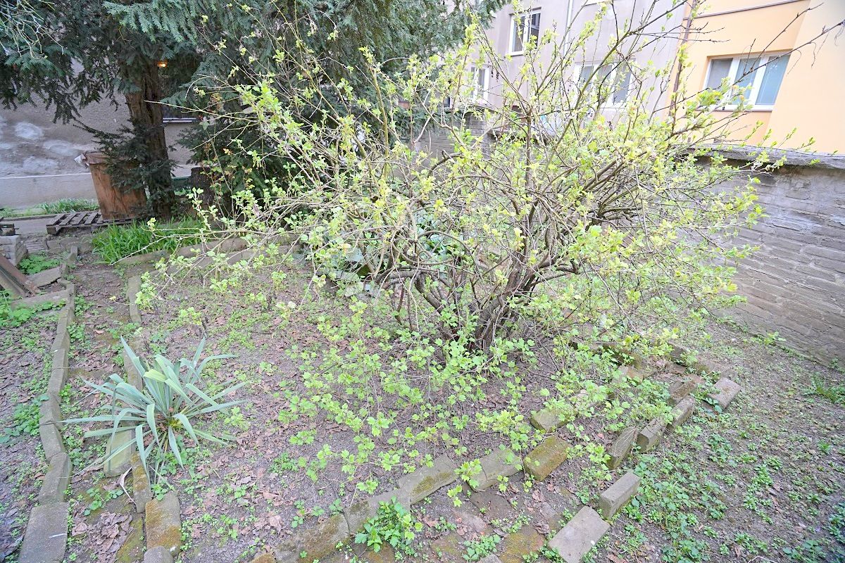 Prodej rodinného domu 132 m², pozemek 259 m² – fotografie 5