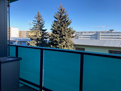 Pronájem bytu 1+kk 38 m² (Jednopodlažní)