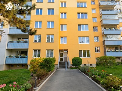 Pronájem bytu 1+1 42 m²