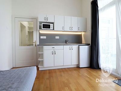 Pronájem bytu 1+kk 26 m²