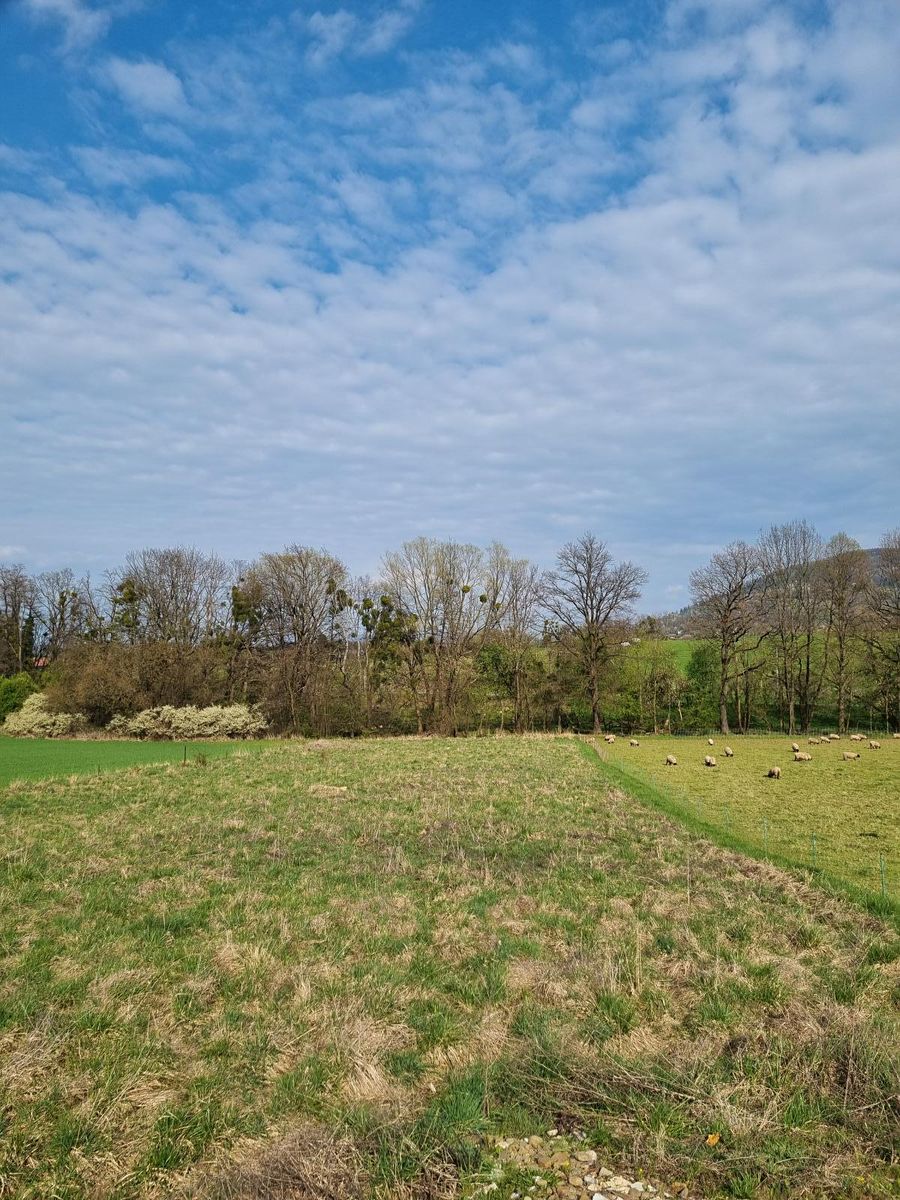 Pronájem pole 850 m²