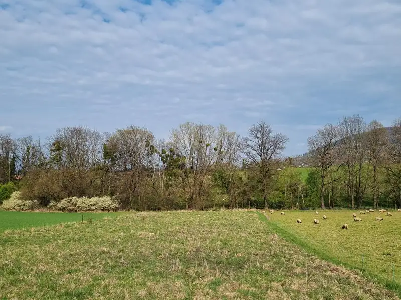 Pronájem pole 850 m², Štramberk – náhled fotky 1
