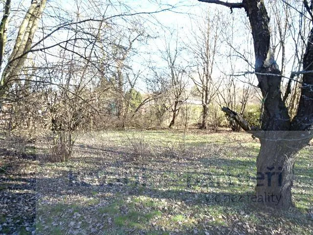 Fotka 8 z 16