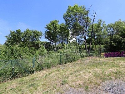 Prodej  zahrady 2 049 m² — photo 2