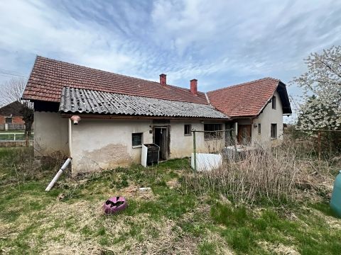 Prodej rodinného domu 130 m², pozemek 5575 m² – fotografie 5