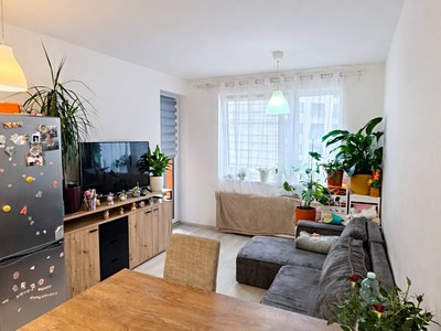 Pronájem bytu 4+kk 80 m² (Jednopodlažní)