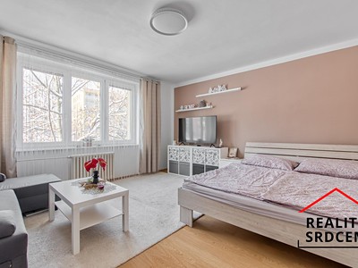 Pronájem bytu 1+1 39 m²