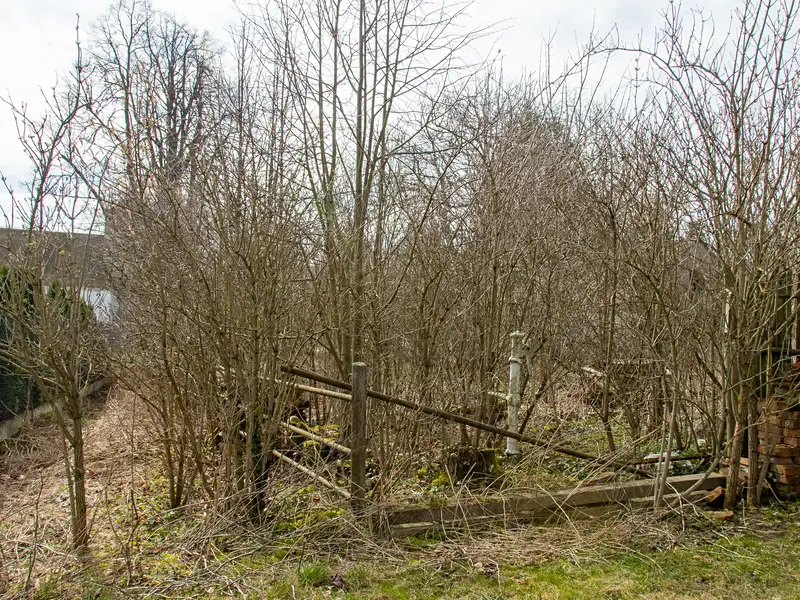 Prodej chalupy 163 m², pozemek 642 m², Paseka – náhled fotky 2