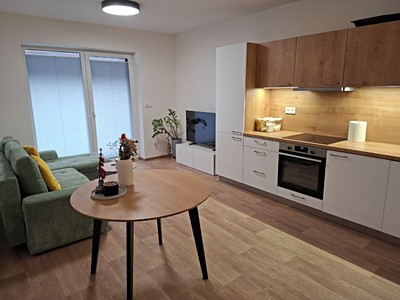 Pronájem bytu 2+kk 48 m²