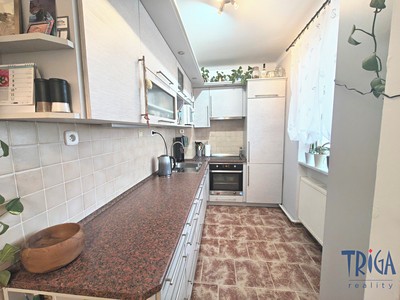 Prodej bytu 3+1 61 m² (Jednopodlažní)