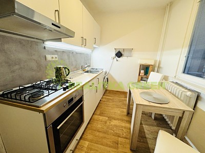 Pronájem bytu 1+1 40 m²