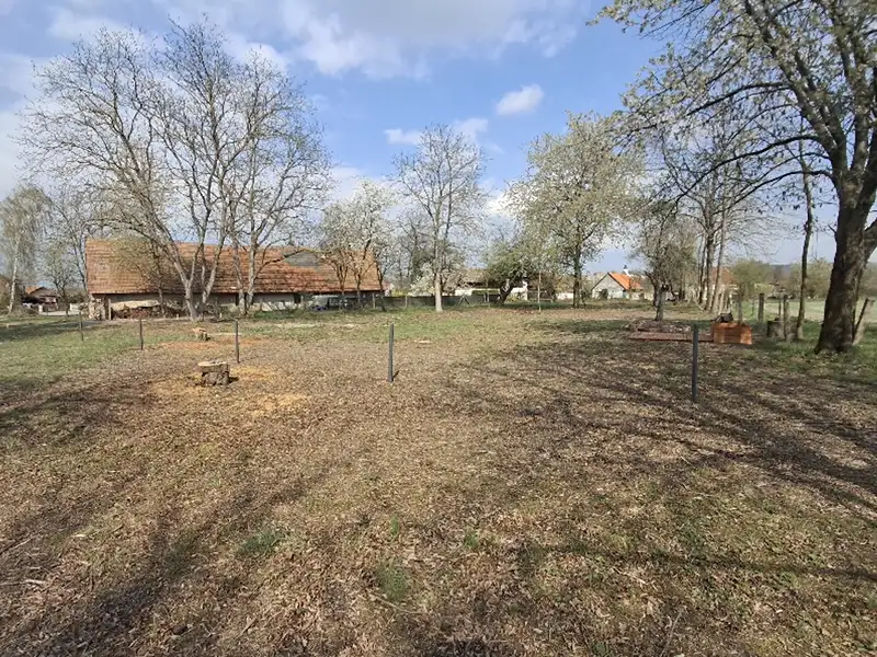 Prodej stavebního pozemku 2666 m², Jenišovice – náhled fotky 2