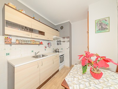 Prodej bytu 2+1 50 m² (Jednopodlažní)