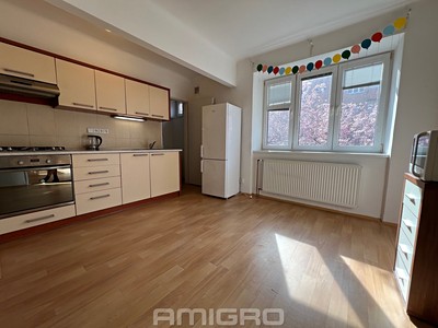 Pronájem bytu 1+1 46 m²