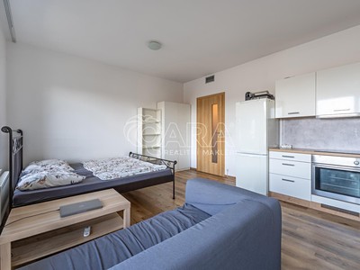 Pronájem bytu 1+kk 35 m² (Jednopodlažní)