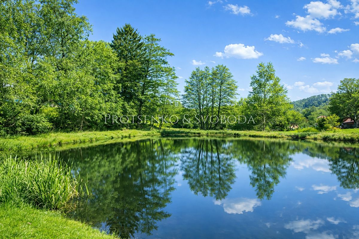 Prodej rodinného domu 290 m², pozemek 860 m² – fotografie 4
