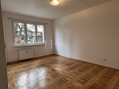 Pronájem bytu 1+1 38 m² (Jednopodlažní)