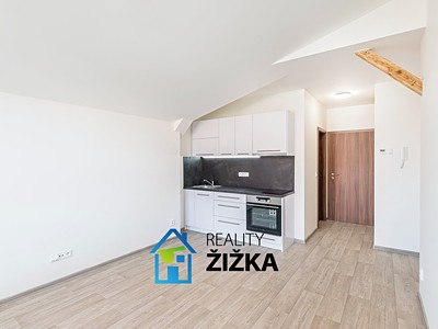 Pronájem bytu 1+kk 24 m² (Podkrovní)