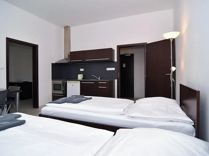 Pronájem bytu 2+kk 46 m², Brno – náhled fotky 1